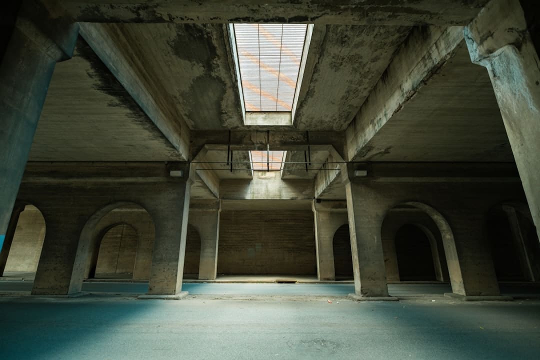 新同学，与“智能原生”同行